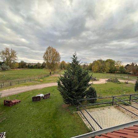 Ruhiges Wohlfuehlzimmer Auf Dem Pferdehof Gut Greppin - Mit Kochnische, Wlan & Kostenlosem Parkenヴィラ エクステリア 写真